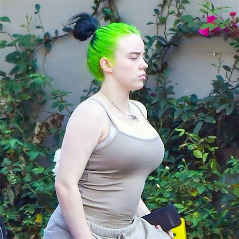 billie eilish big tits|Cons of having big tibbies : r/billieeilish